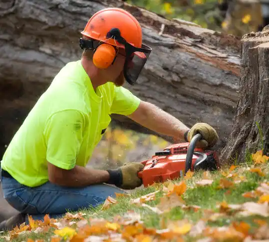 tree services Mount Gilead